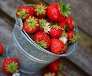 strawberries-3431122_640